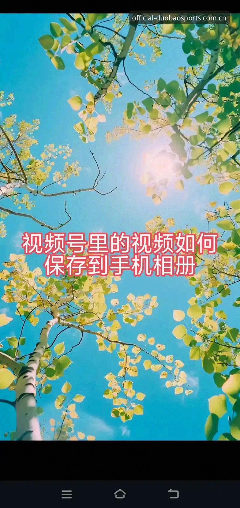 如何确认多宝官网正版？从注册到下载的实战指南